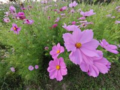 -比格比萨自助(国展店)