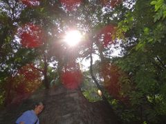 -北京上方山国家森林公园