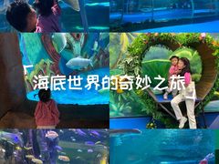 -西双版纳原始森林公园