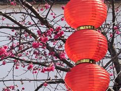 -乌山风景区