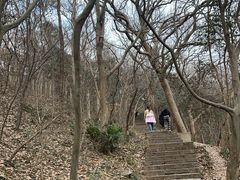 -紫金山山顶公园