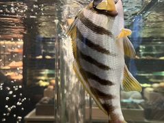 -新荣记(新源南路店)