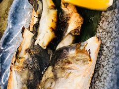 -天正河鲀·河豚亭(大连店)