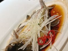 -刘胖子家常菜·蹄花焖藕(江汉路总店)