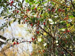 -天目湖御水温泉·度假酒店