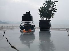 -东钱湖小普陀景区