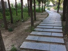 -长春公园(普阳街道)