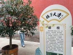 -北京市劳动人民文化宫(太庙)
