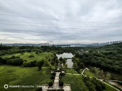 -张坝桂圆林公园