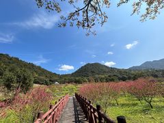 -广州市石门国家森林公园