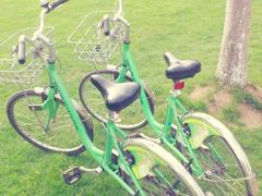 727e6662jw1e3i7njttdbj_副本-昆山城市生态森林公园