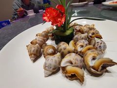 盐焗花螺-聚福宝合苑食府(南头镇店)
