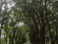 -同里国家湿地公园