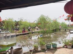 -同銮特种养殖场·龙虾垂钓