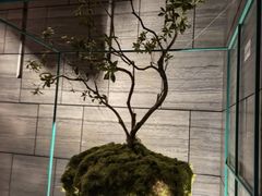 -南太湖山庄·四季轩&国风堂中餐厅
