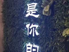 -嫩芽 ·地道重庆菜(十八梯露台夜景店)