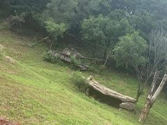 -沈阳森林动物园