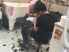 -多卡布奇宠物生活馆(上林世家店)