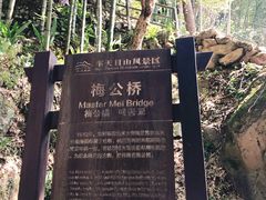 -东天目山风景区