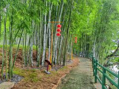 -苏家围·东江画廊旅游景区