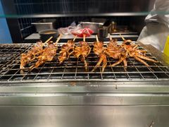 -星伦多 自助料理(圆融店)