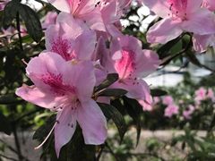 -晓港公园