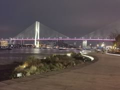 -摆渡站(董家渡站)