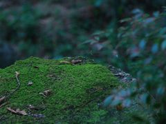 -黄公望隐居地