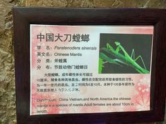 -上海大自然野生昆虫馆(东方明珠·爬宠昆虫探索中心)