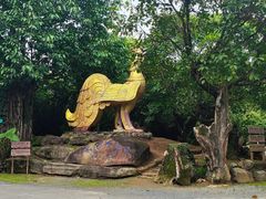 -云南勐巴娜西珍奇园