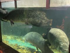 -嘉兴海底世界