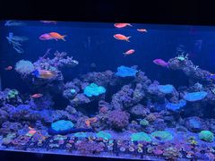 -暹罗海洋世界
