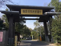 -西湖风景区-江洋畈生态公园