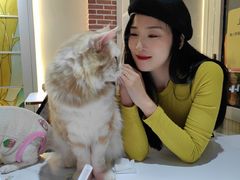-猫小院猫主题餐厅(南锣旗舰店)
