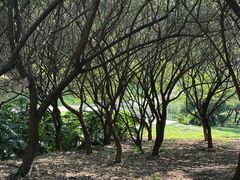 -广州逸林假日酒店·四季桃源中餐厅(白云山风景区店)