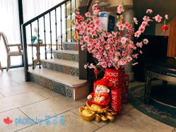 -海茱雅科技健康美容