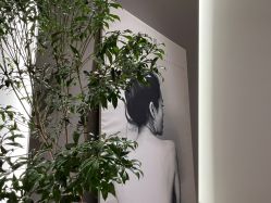 -LB·海菲秀牛奶光官方体验中心