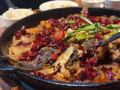 -老板恋上鱼(恒隆广场店)