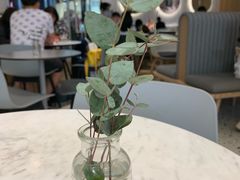 -gaga(深圳福田星河COCO Park店)