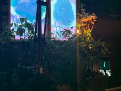 -津菜宋记老房子(鼓楼店)