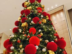 -上海嘉定喜来登酒店