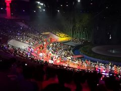 -灵玲国际马戏城