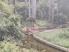 -南宁市动物园