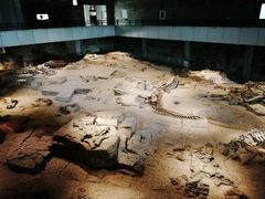 -自贡恐龙博物馆