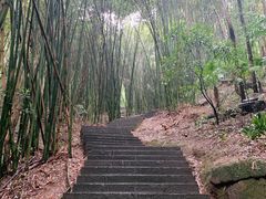 -凤栖山