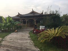 -武清南湖绿博园