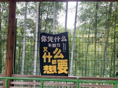 -山沟沟景区
