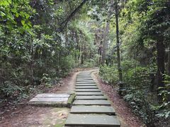 -铁山坪森林公园