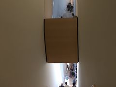-旧金山现代艺术博物馆
