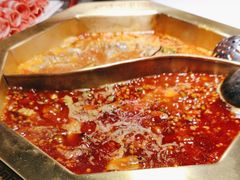 -蜀九香火锅(彩虹店)